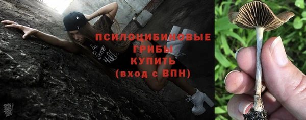 хмурый Зеленодольск
