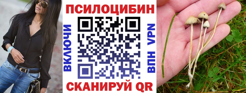 Купить  Таруса  Галлюциногенные грибы мицелий 