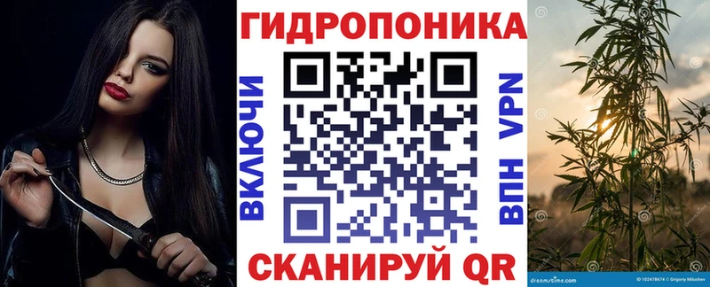 Купить где  Таруса  Бошки Шишки индика 